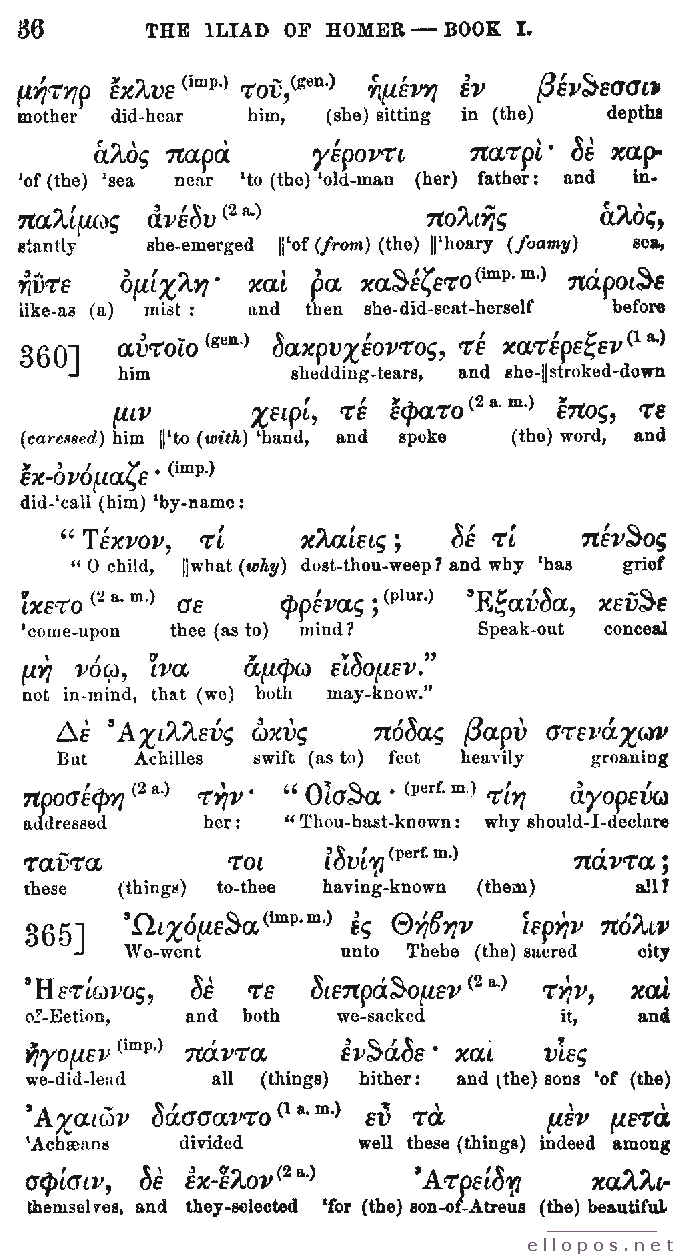 Homer Interlinear Iliad - Page 36