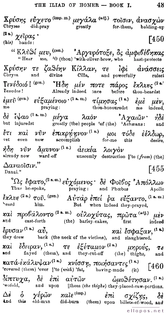 Homer Interlinear Iliad - Page 43